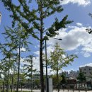 온플루트 | 코스: 젤라또·빙수·파스타 풀코스(스쿠퍼젤라또/라프레플루트 빙수/ 산펠리체 파스타/ 온유어마크 후기)