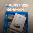 복돼지 | 부산 황금복돼지빵 후기｜부산 기념품 추천