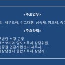 세무법인보광 네이버블로그