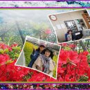 해연중학교 이미지