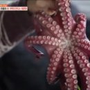 현우농장 이미지