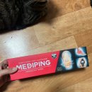 워크앤런 | 파워풀엑스 메디핑 테이핑하고 제3연륙교 개통기념 워크앤런 참석후기