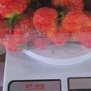 청춘농장 제2농장 이미지