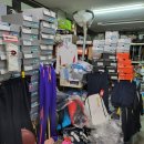 영스포츠 이미지