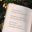 피자엠소마 이미지