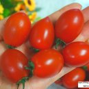 덕명농장 이미지