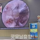 대전우리병원 이미지