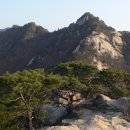 한세대학교 경찰법무대학원 이미지