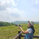 승현목장 이미지