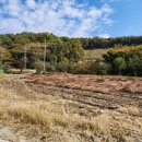 학하복용서로1 이미지