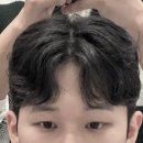 수진2호 이미지