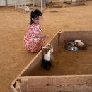 선바위농장 | 무럭무럭농장 여름방학 비 오는 날 실내 갈만한 곳