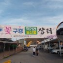 국화호수 Daum카페