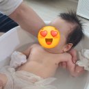 닥터맘(성북/강북/도봉/노원) 이미지