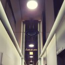 닥터화이트