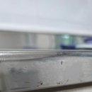 뉴크린 | 대전입주청소 꼼꼼하게 잘하는 곳 급한 일정도 잘 맞춰 준 올뉴크린