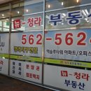 아파트M약국 Daum카페