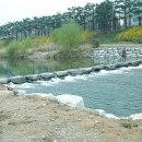 덕진-13 이미지