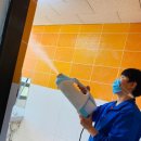 비룡태권도체육관 이미지