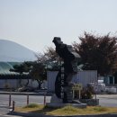 한반도농업협동조합 | [영월 한반도농협하나로마트] 방문기! 캠핑 준비부터 신선한 지역 농산물까지 완벽 정복!