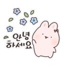 오즈펫살롱 이미지