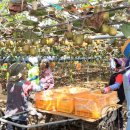 김진근농장 이미지