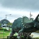 나라여행사 - 경주시 유림로5번길 178 | 나라여행사