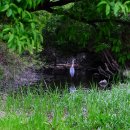 왕버들공원화장실 이미지