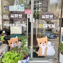 씨유펫장전점