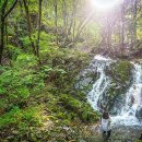 7월에 갈만 한 산 마대산馬垈山 이미지