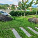 대화약업사 이미지