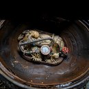 부수지공원 | 어느 날 갑자기 콸콸콸 인생 최대 위기 봉착