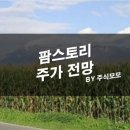 ANA메디컬 이미지