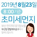 2019년 8월23일(금요일) 오전8:00 기준 부산전지역 초미세먼지 및 일일/주간 날씨정보 이미지