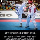 에스티엔태권도