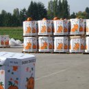 황금물결 농장 이미지