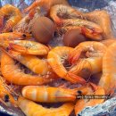 만세통닭 | [남악 술집]오조오억번 방문한 또만세포차, 남악 새우맛집/내돈내산 솔직후기