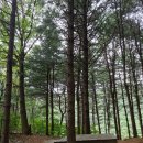 감악산 등산로 입구 | [경기파주]파주가볼만한곳 감악산출렁다리, 운계폭포, 운계전망대,감악산정상,감악산 맛집 감악정