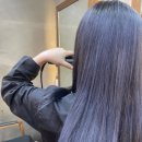 살롱 수 이미지