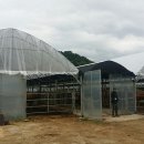 지훈농장 이미지