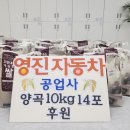 간석자동차공업사 이미지