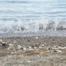 팔영산편백민박 이미지