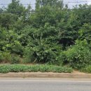 서해토지공인중개사사무소 이미지