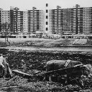 이안건축사 이미지