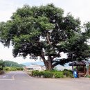 당산1리 이미지