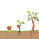 세컨드브레인 이미지