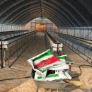 한경대학교부속농장 이미지