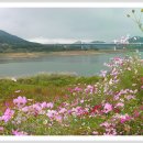 통나무산장 이미지