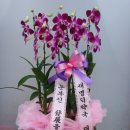 새명약국 이미지