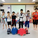 용인대 올림픽 태권도장 이미지